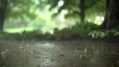 高清升格下雨天雨滴雨景视频的预览图